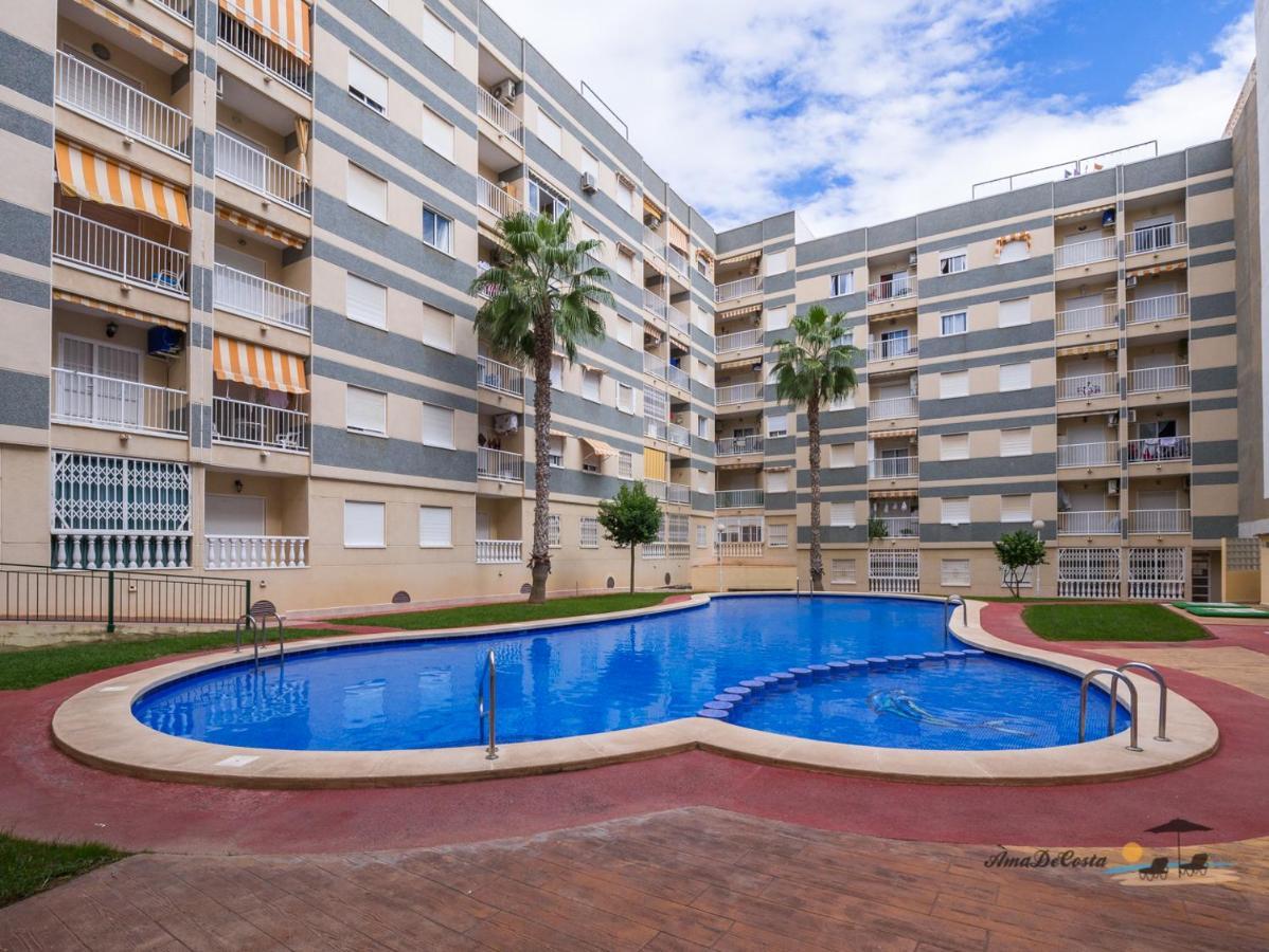 Apartament Marinero - El Edificio Navila XX - 托雷维耶哈 外观 照片