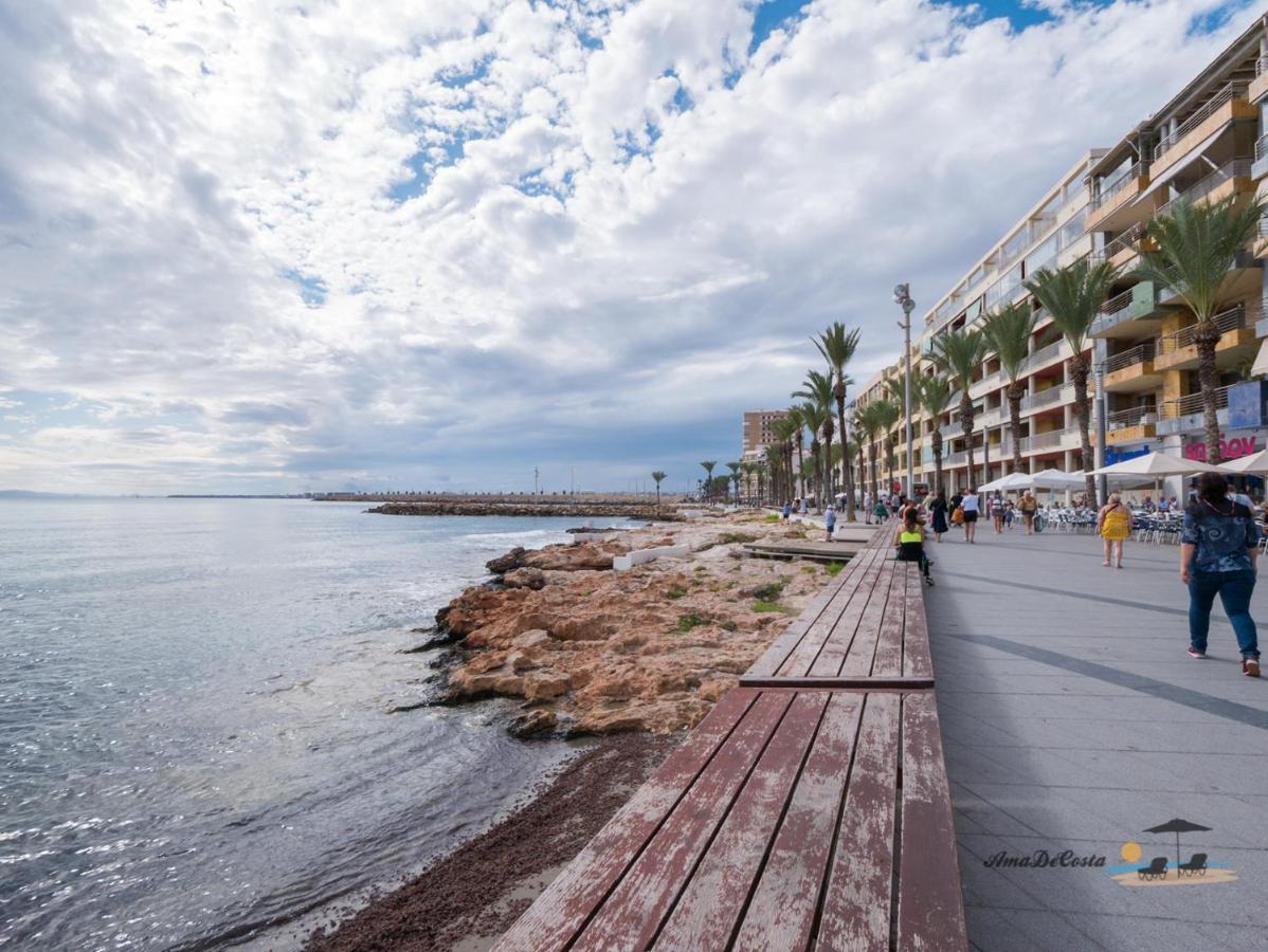 Apartament Marinero - El Edificio Navila XX - 托雷维耶哈 外观 照片
